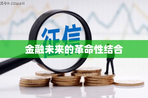 卢龙金融未来的革命性结合