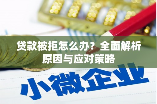 卢龙贷款被拒怎么办？全面解析原因与应对策略