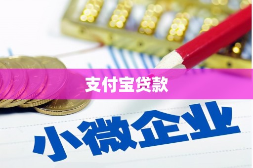 卢龙支付宝贷款