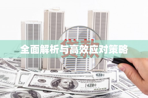 卢龙全面解析与高效应对策略