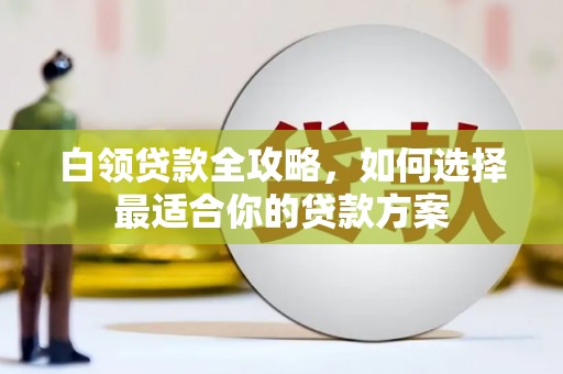卢龙白领贷款全攻略，如何选择最适合你的贷款方案